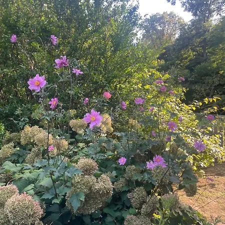 Casetta Dei Lagoni Nyaraló