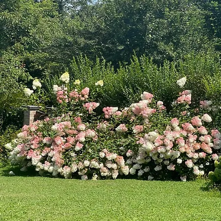 Casetta Dei Lagoni Nyaraló Arona