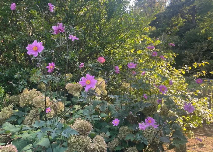 Casetta Dei Lagoni Semesterbostad