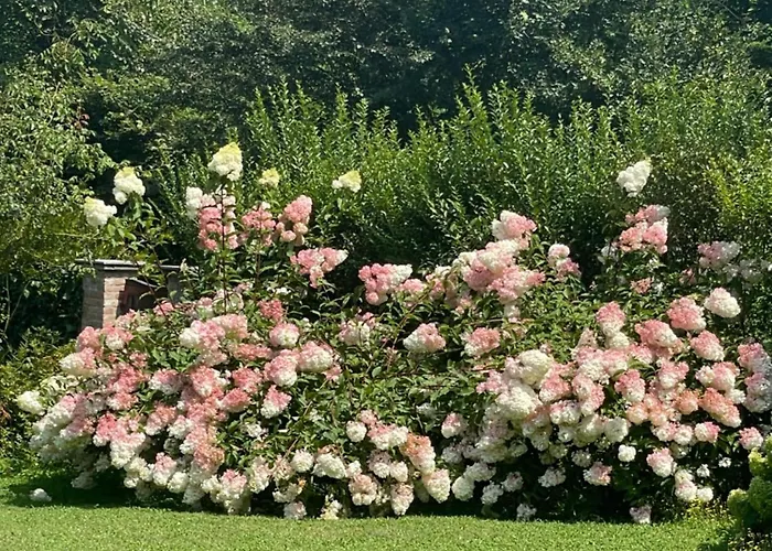 Casetta Dei Lagoni Dom wakacyjny Arona